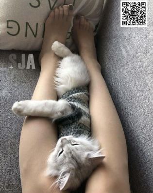 国产手机精品视频_4K免费电视剧
